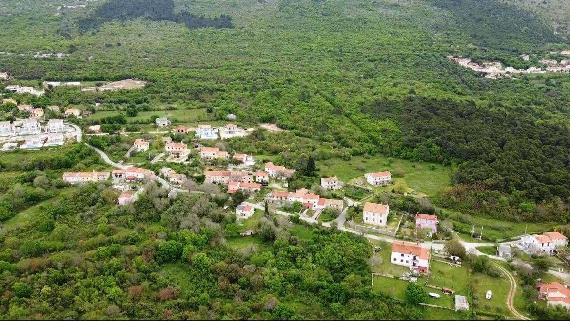 Semesterbostad Bonvivan House *