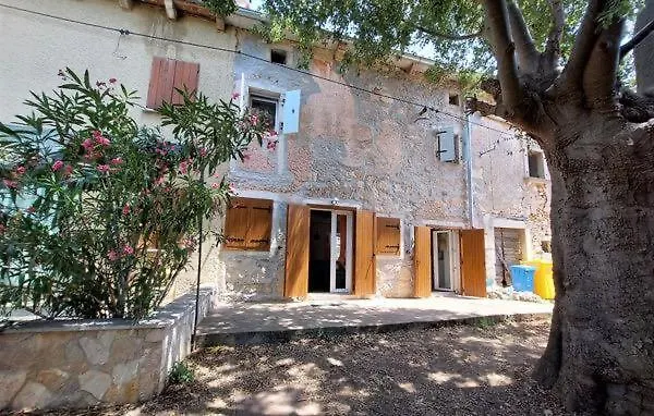 Bonvivan House