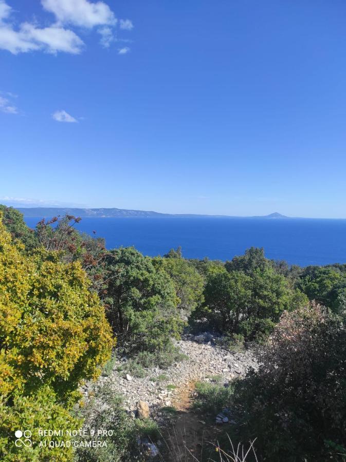 Nyaraló Bonvivan House *