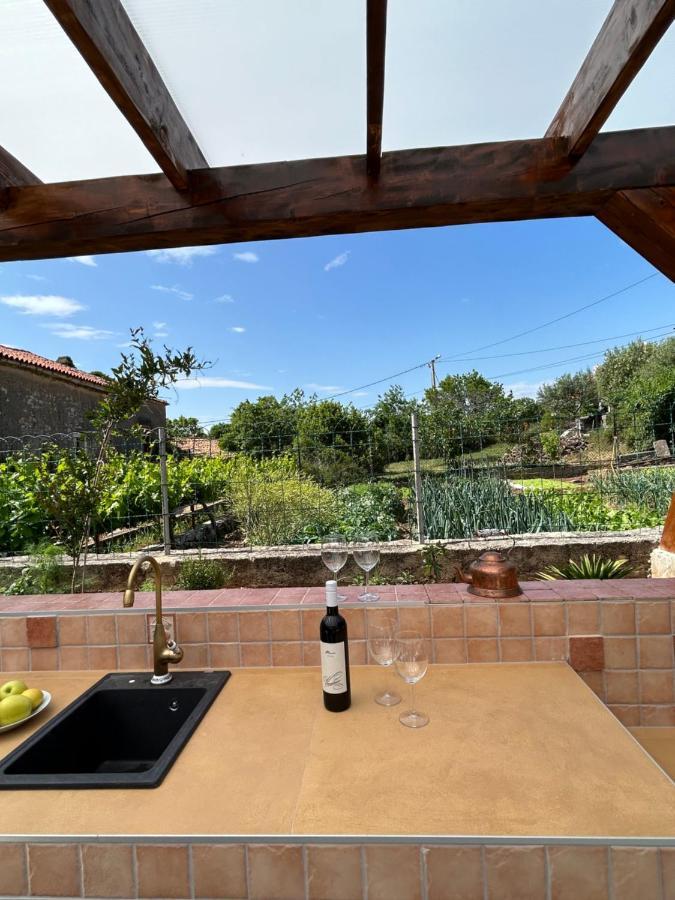 Bonvivan House * Diminici