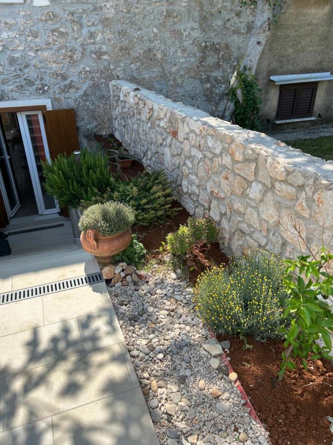 Bonvivan House Diminici