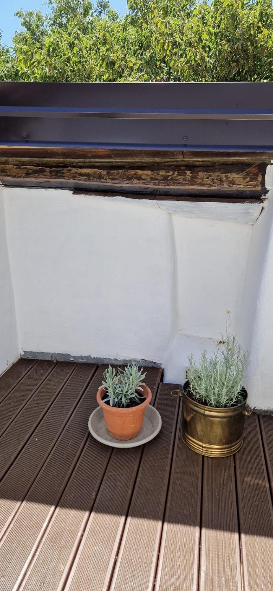 Holiday home Bonvivan House Diminici
